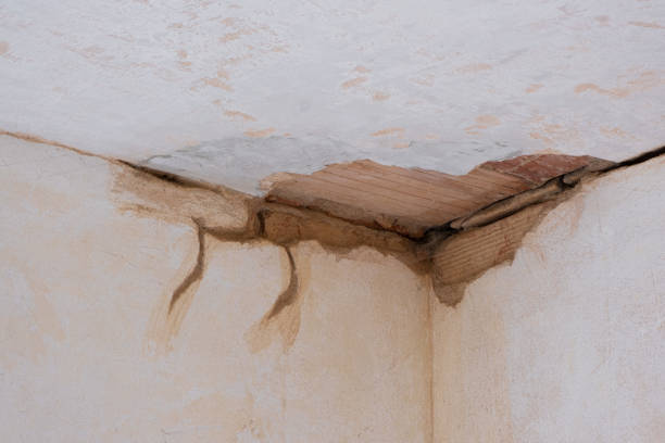 Local water damage restoration in Oak Grove, OR