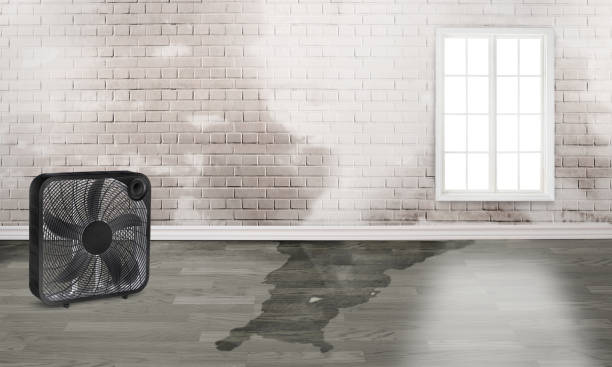 Reliable Oak Grove, OR Water damage restoration Solutions