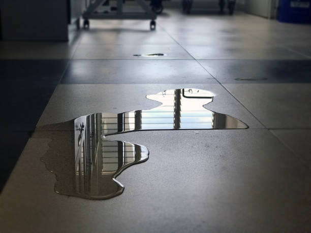 Local water damage restoration in Oak Grove, OR