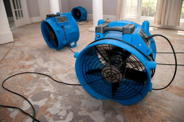 Best Water damage repair service  in Oak Grove, OR