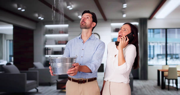 Best Water damage cleanup near me  in Oak Grove, OR